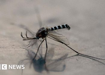 Colombia declares well being emergency after dozens die