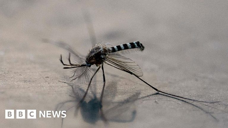 Colombia declares well being emergency after dozens die