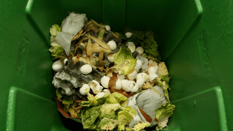 Iowa Metropolis marks meals waste prevention week with native initiatives