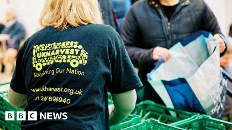 West Sussex meals hubs obtain one other 12 months of council funding