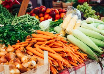 Michiana VegFest returns with taste and enjoyable for all ages, selling a vegan way of life