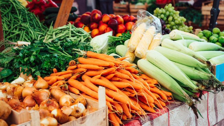 Michiana VegFest returns with taste and enjoyable for all ages, selling a vegan way of life