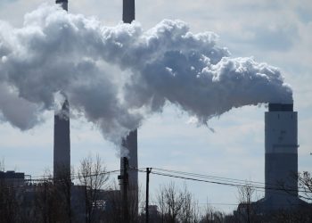 Trump indicators the chief order to feed Coal Database Databases