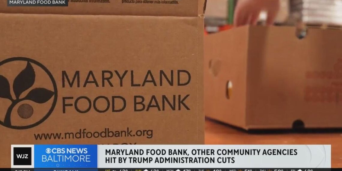 Maryland Meals Financial institution “devastated” after elimination of $four.4M in meals deliveries, federal funding