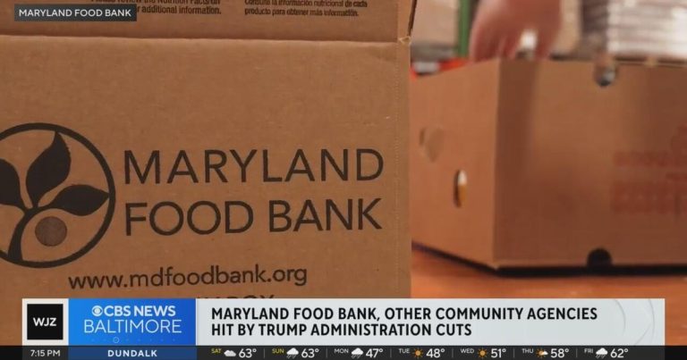 Maryland Meals Financial institution “devastated” after elimination of $four.4M in meals deliveries, federal funding