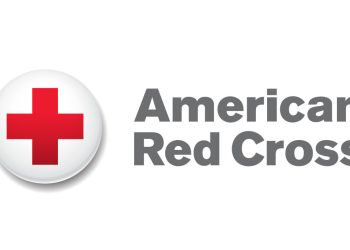 Therapeutic By Service: Supporting Psychological Well being