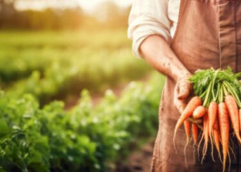 Michigan invests in regional meals infrastructure