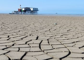 Caspian Sea decline threatens wildlife, human well being, and trade