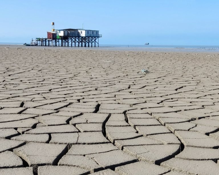Caspian Sea decline threatens wildlife, human well being, and trade