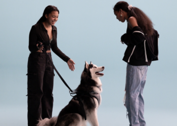 Bryce Dallas Howard on her new documentary, 'Pets' – Hometown Information