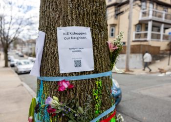 Worldwide college students who’ve freed the authorized standing in america