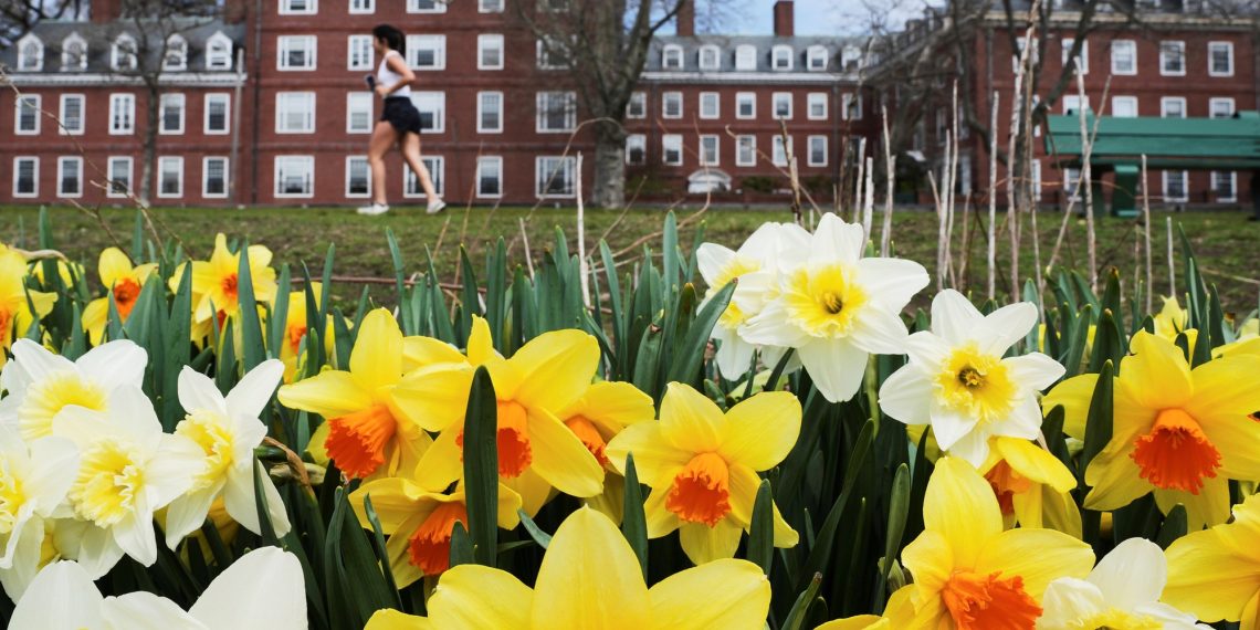 What’s hiding behind the “conflict” declared by Donald Trump towards Harvard and different prestigious universities?