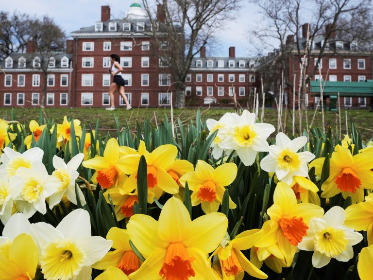 What’s hiding behind the “conflict” declared by Donald Trump towards Harvard and different prestigious universities?