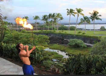 Hawaii Tourism supporting journey associate wellbeing