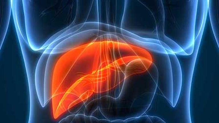 Bengaluru docs take up ‘Liver Tech Examine’ to evaluate prevalence of digital lifestyle-associated liver illness amongst IT professionals