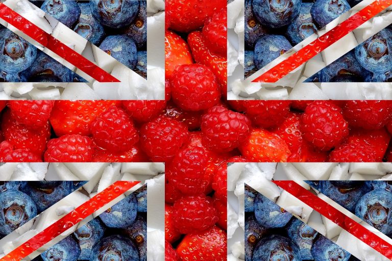 Perspective exhibits Brexit uncovered vulnerabilities within the UK’s meals system