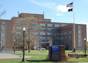 Michigan veterans fear about federal cuts, well being care entry | Information, Sports activities, Jobs