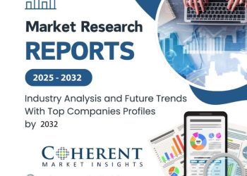 China Vogue Ecommerce Market Measurement 2025 Rising Calls for,