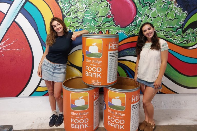 14th Annual College Meals Drive Collects Report 17,462 Kilos of Meals From 33 Faculties for Blue Ridge Space Meals Financial institution