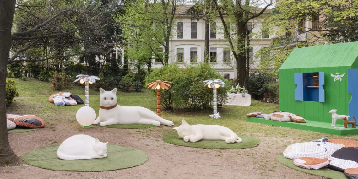 MCM and PET remedy reveal canines and cat -shaped cats in Milan