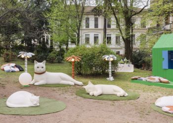 MCM and PET remedy reveal canines and cat -shaped cats in Milan