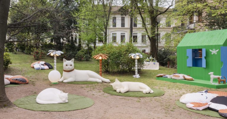 MCM and PET remedy reveal canines and cat -shaped cats in Milan