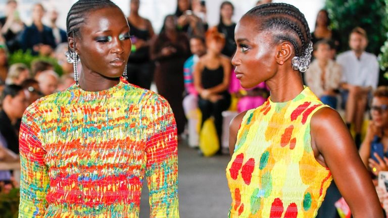 American Designer and Guyanese Officers Conflict Over Trend Present Proposal
