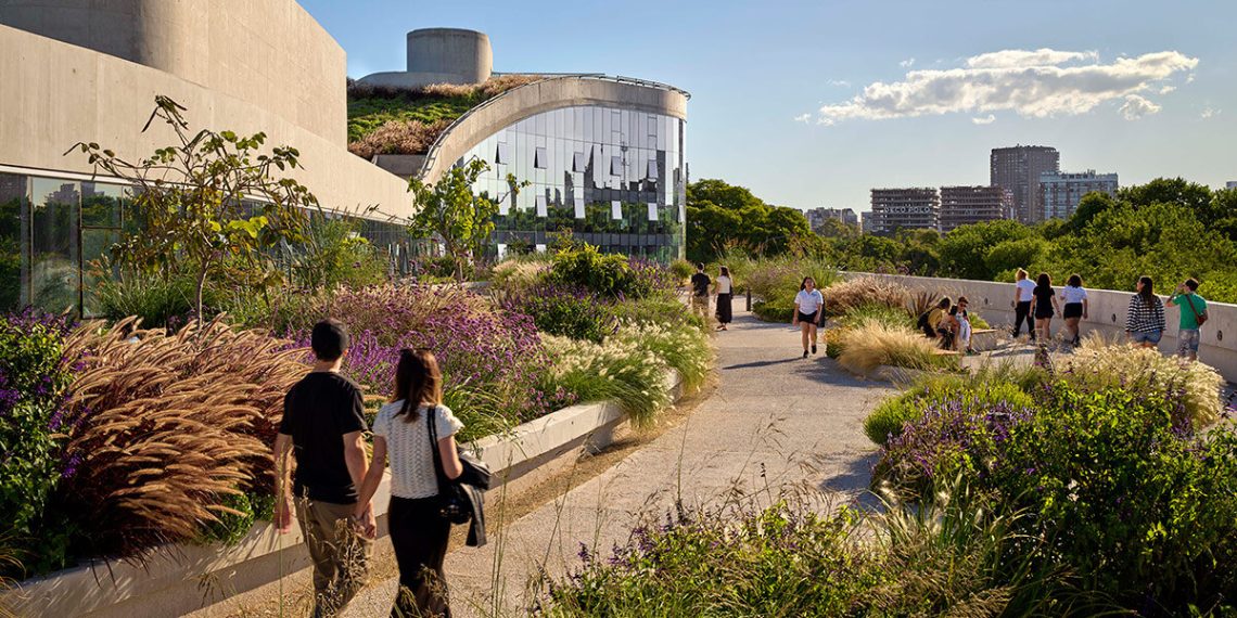 ODA turns Buenos Aires parking construction into backyard workspace
