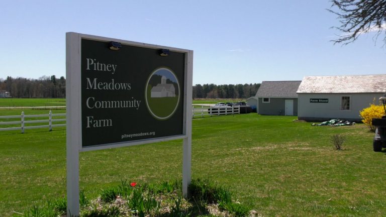 Pitney Meadows Group Farm to launch to initiative