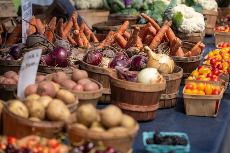 Federal meals help cuts might imply much less cash for Michigan’s small farmers