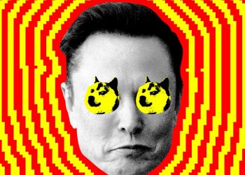 Folks begin on Elon Musk