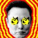 Folks begin on Elon Musk