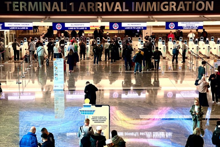 Time to bin the boarding cross? How your face might quickly be your ticket to journey in airport revolution