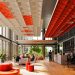 Turf combine acoustic efficiency + design to show ceilings