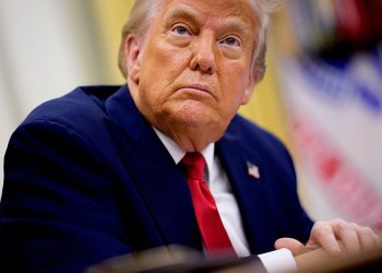 Trump says he’ll cease healthcare fraudsters. Final time, he allow them to stroll.