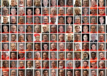 Which potato profile are the cardinals on the lookout for?