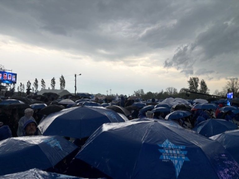 Underneath heavy rain ten thousand individuals marched in Auschwitz in 80 years of issuing focus camps