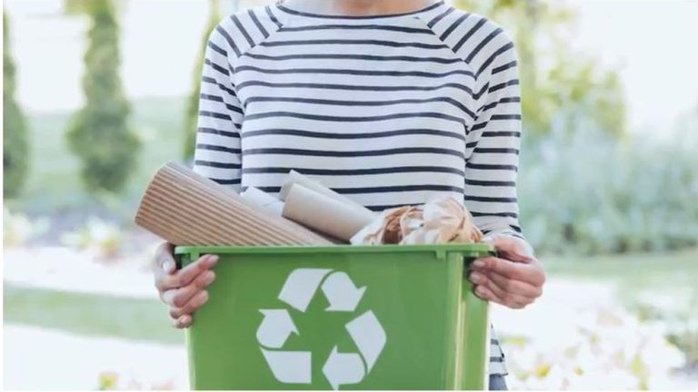 Make an effort to cut back meals waste throughout nationwide Consciousness Week