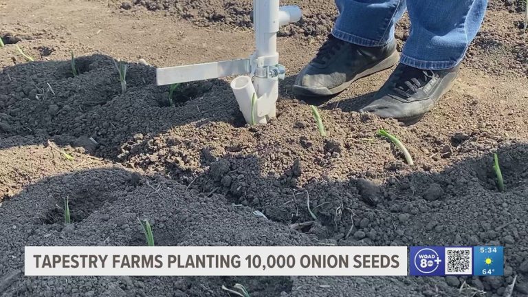 Tapestry Farms and volunteers sort out native meals crises