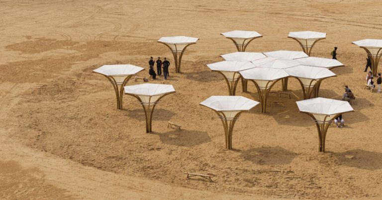 Additionally Crafts architects Modular installations of bamboo and tense material