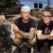 Blink-182 to carry out at Hollywood On line casino Amphitheater in September