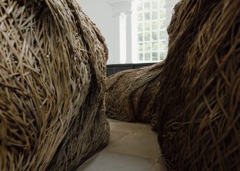 Laura Ellen Bacon brings Somerset Willow ‘to be’ on the Yorkshire Sculpture Park – Colossal
