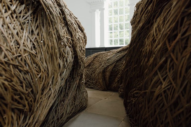 Laura Ellen Bacon brings Somerset Willow ‘to be’ on the Yorkshire Sculpture Park – Colossal