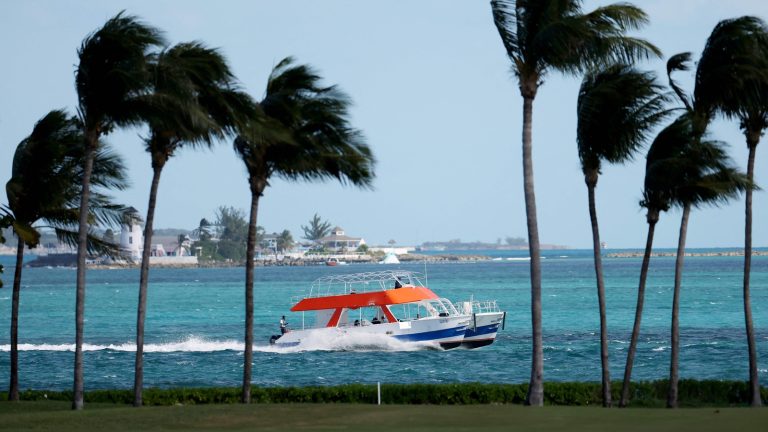 Don’t journey to Bahamas, there are sharks: Trump admin advises People