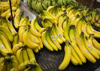 Trump’s tariffs affect on financial system and meals costs – Indianapolis Information | Indiana Climate | Indiana Site visitors