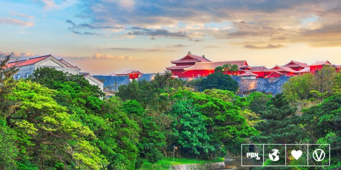 Need To Dwell To 100? Right here’s What The Blue Zones Are Doing Proper – Plant Primarily based Information