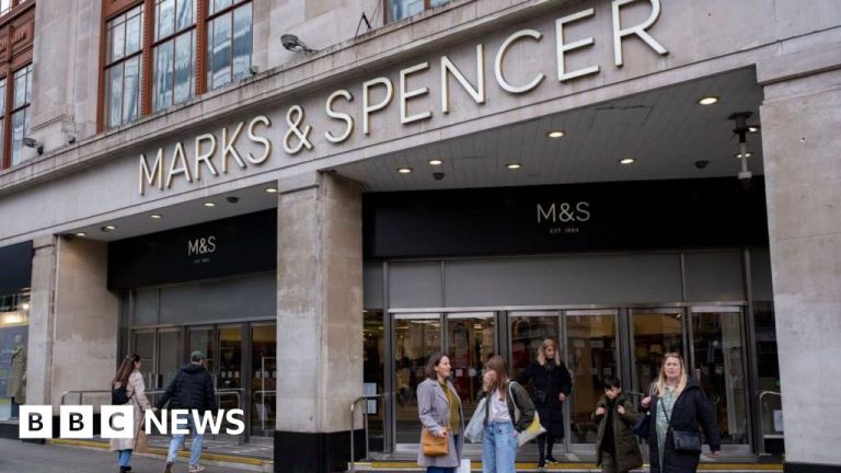 Marks & Spencer on-line disruption a ‘bruise’ to status, analyst says