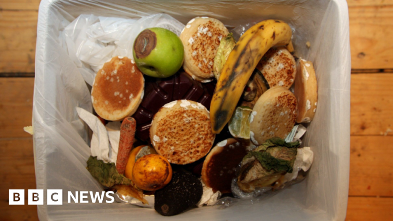 £2m spend on meals waste collections permitted for North Norfolk