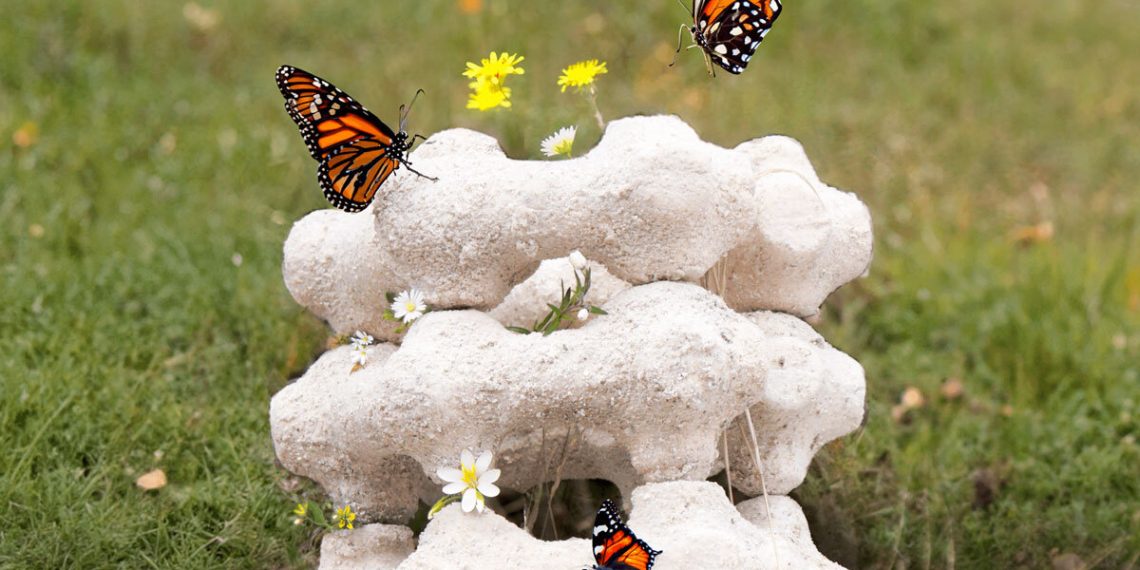 Biodegradable modular nest in egg shells entice butterflies in metropolis facilities