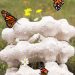 Biodegradable modular nest in egg shells entice butterflies in metropolis facilities